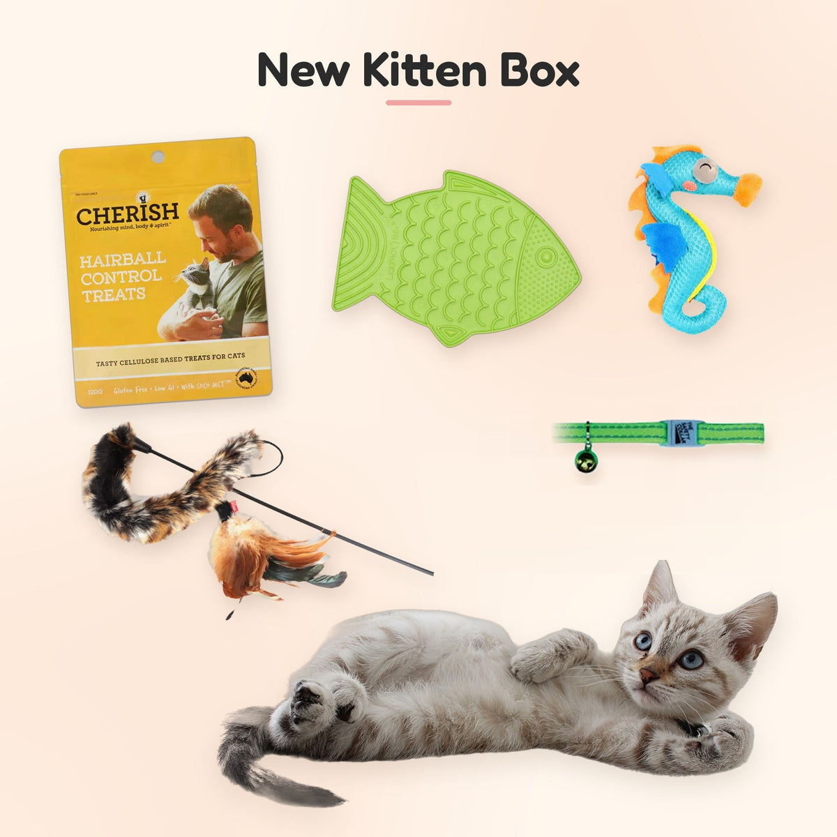 New Kitten Box with the fluoro green cat safety collar