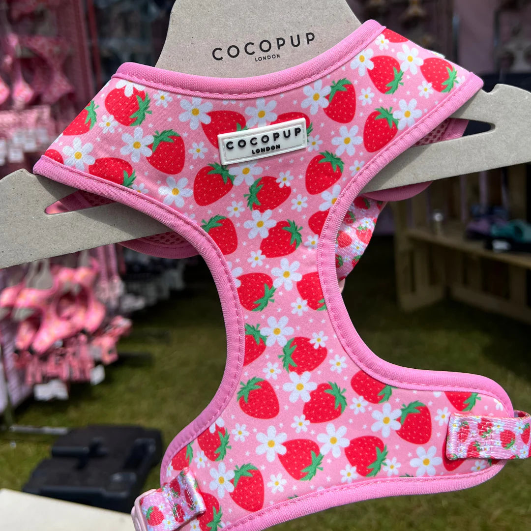 Cocopup London Adjustable Neck Harness – Prints