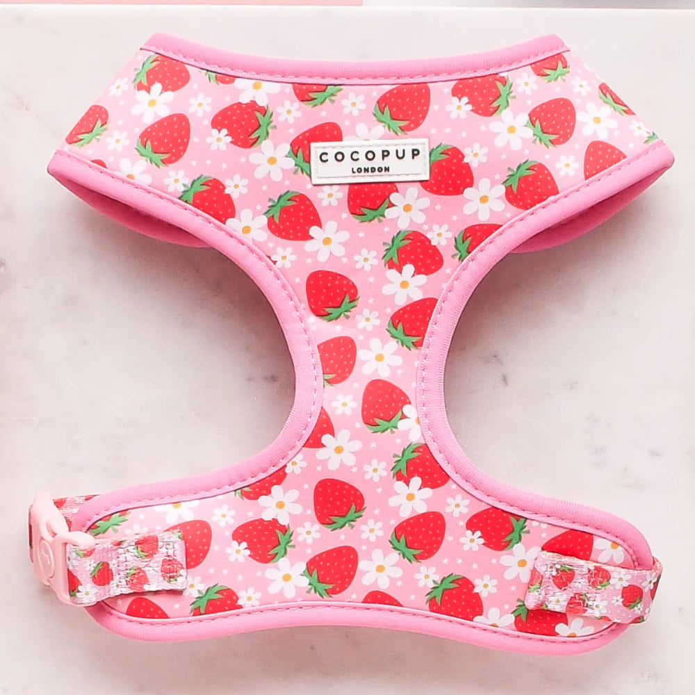 Cocopup London Adjustable Neck Harness – Prints