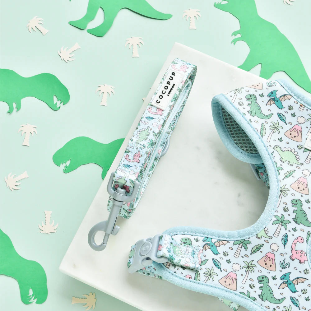 Cocopup London Dog Lead – DinoPaws