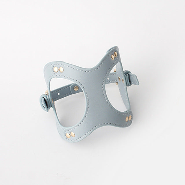 Dog Harness and Leash for Small and Medium Pets