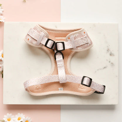 Cocopup London Adjustable Neck Harness – Prints