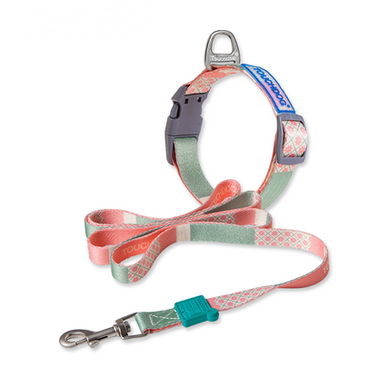 Touchdog Dog Harness Leash for Outdoor Training