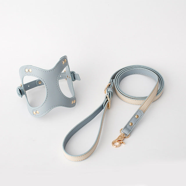 Dog Harness and Leash for Small and Medium Pets