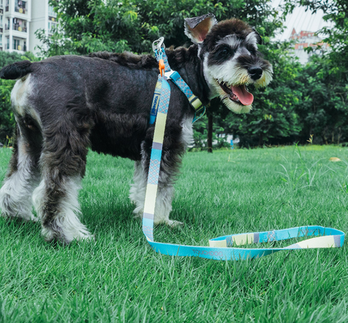 Touchdog Dog Harness Leash for Outdoor Training