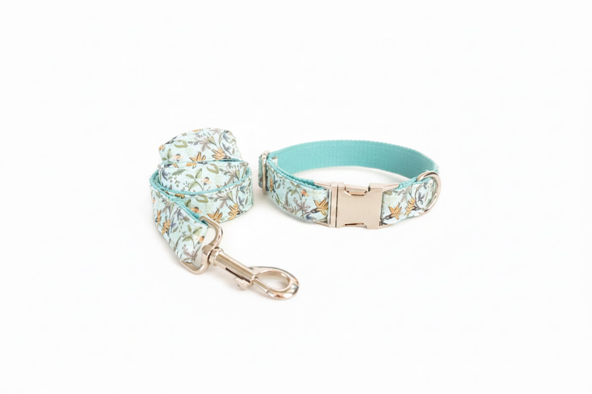 Soft Comfort Dog Collar