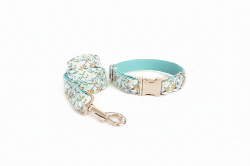 Soft Comfort Dog Collar