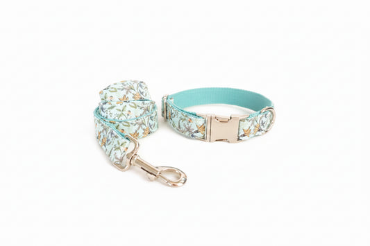 Soft Comfort Dog Collar