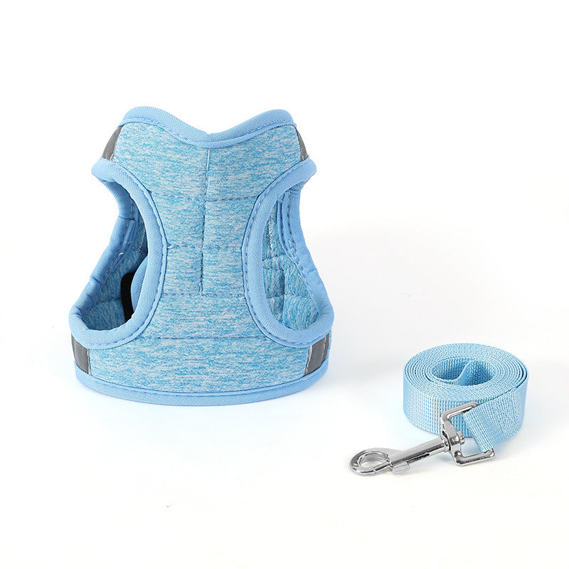 Fashion Dog Walking Chain Leash