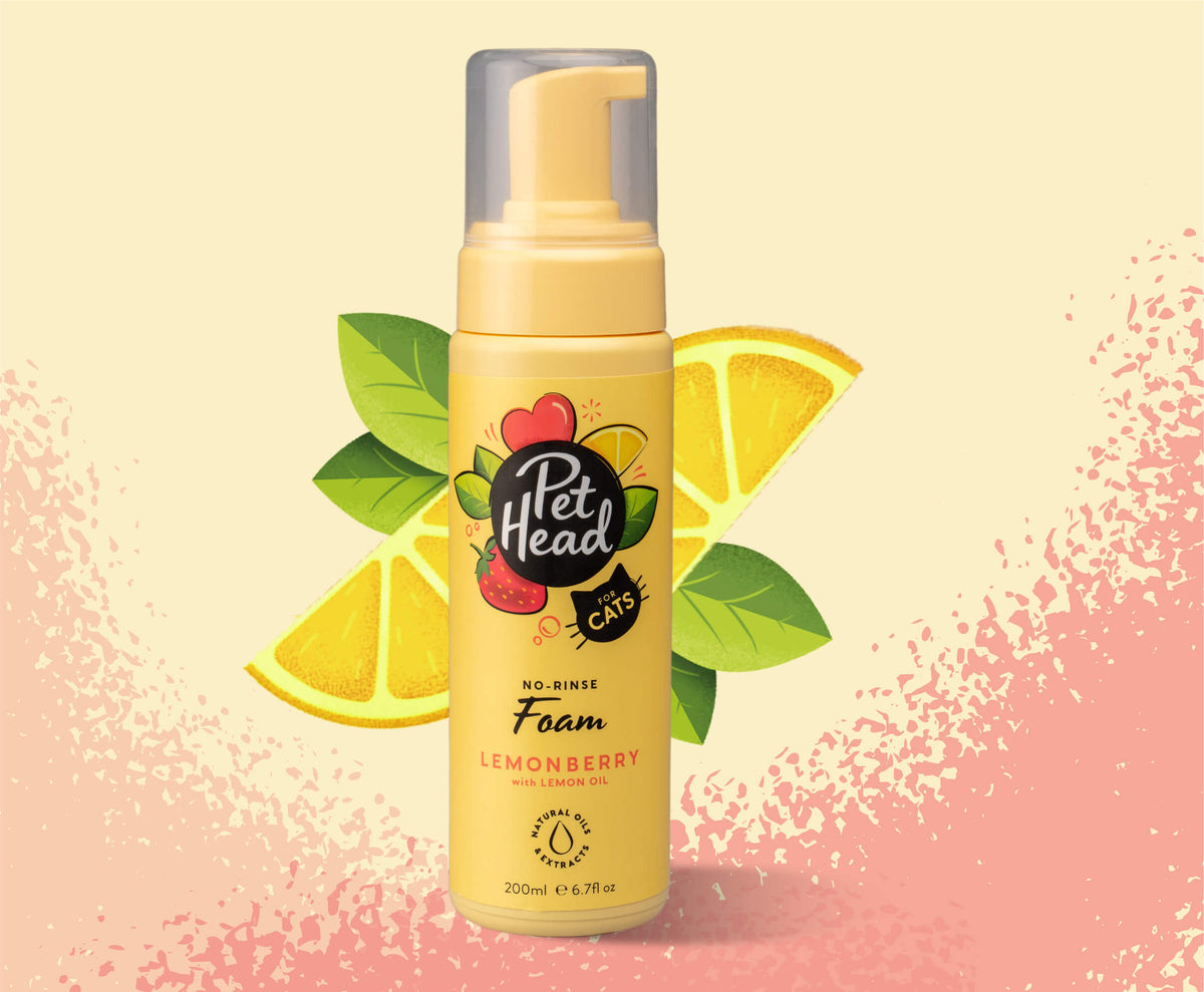 Pet Head Felin' Good No-Rinse Foam 200ml