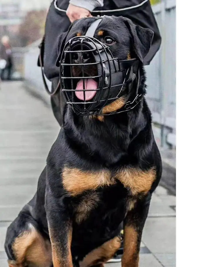 Tactical Muzzle for Golden Retriever and Horse Dog