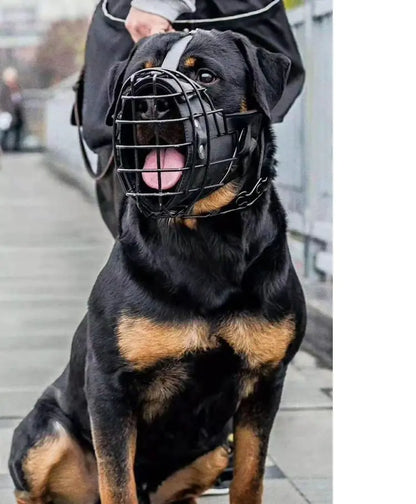 Tactical Muzzle for Golden Retriever and Horse Dog