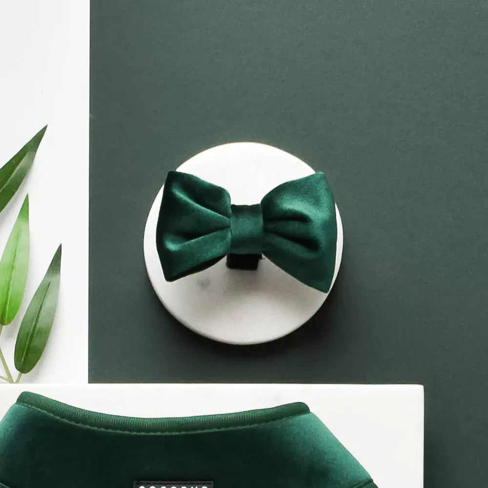 Cocopup London Dog Bow Tie – LUXE Forest Green Velvet