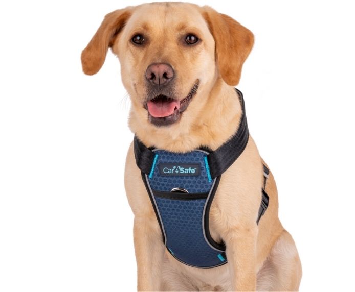 CarSafe Crash-Tested Dog Car Harness