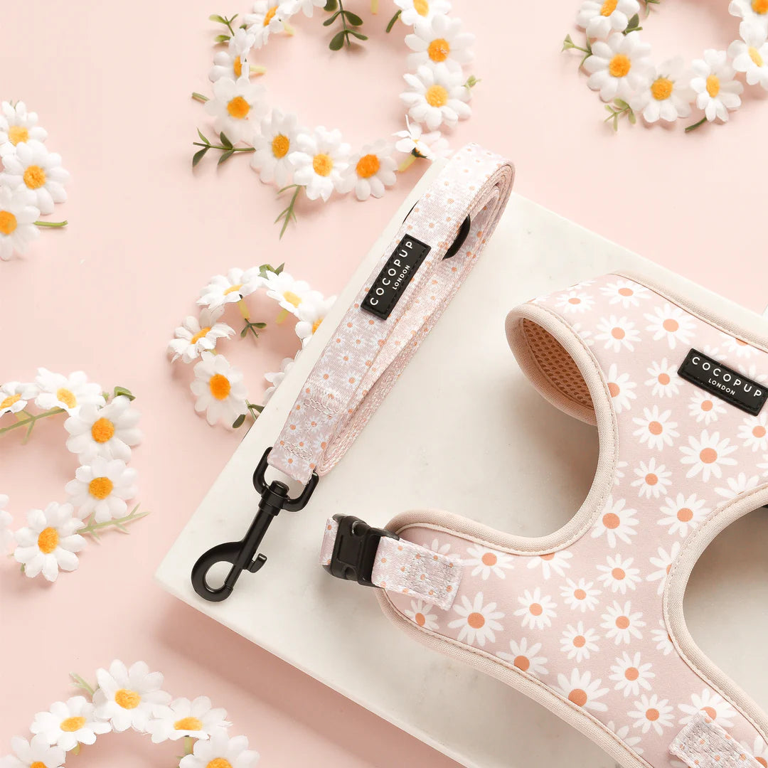 Cocopup London Dog Lead – Daisy Chain