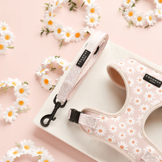 Cocopup London Dog Lead – Daisy Chain