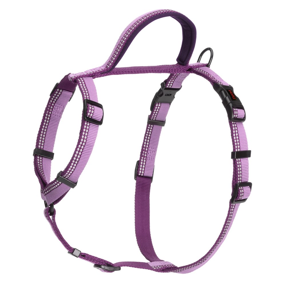 Halti Walking Harness