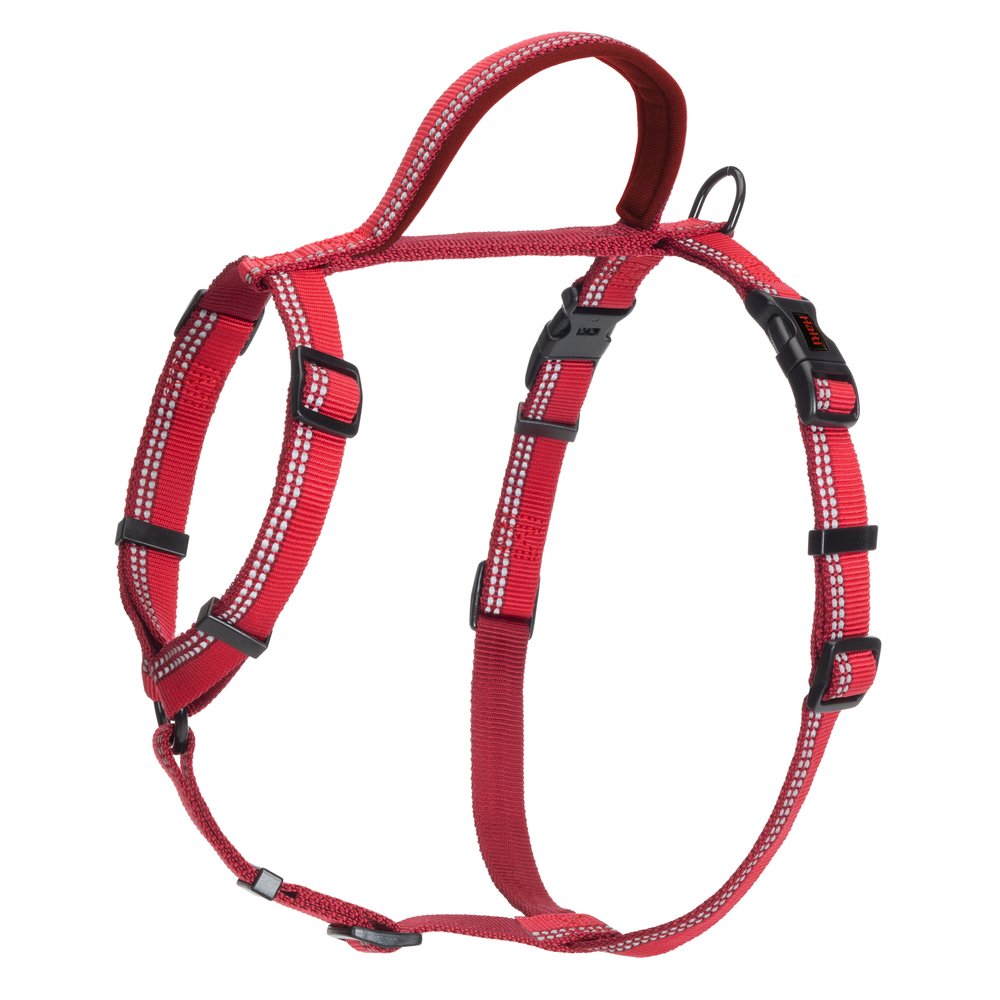 Halti Walking Harness