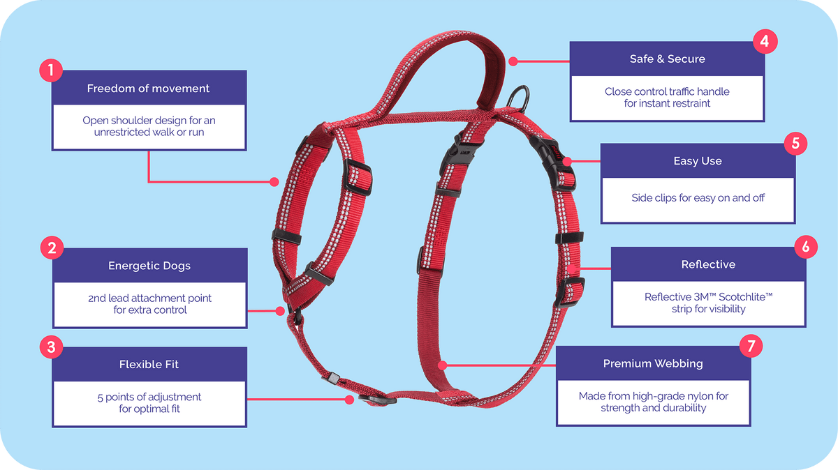 Halti Walking Harness