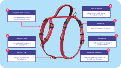 Halti Walking Harness