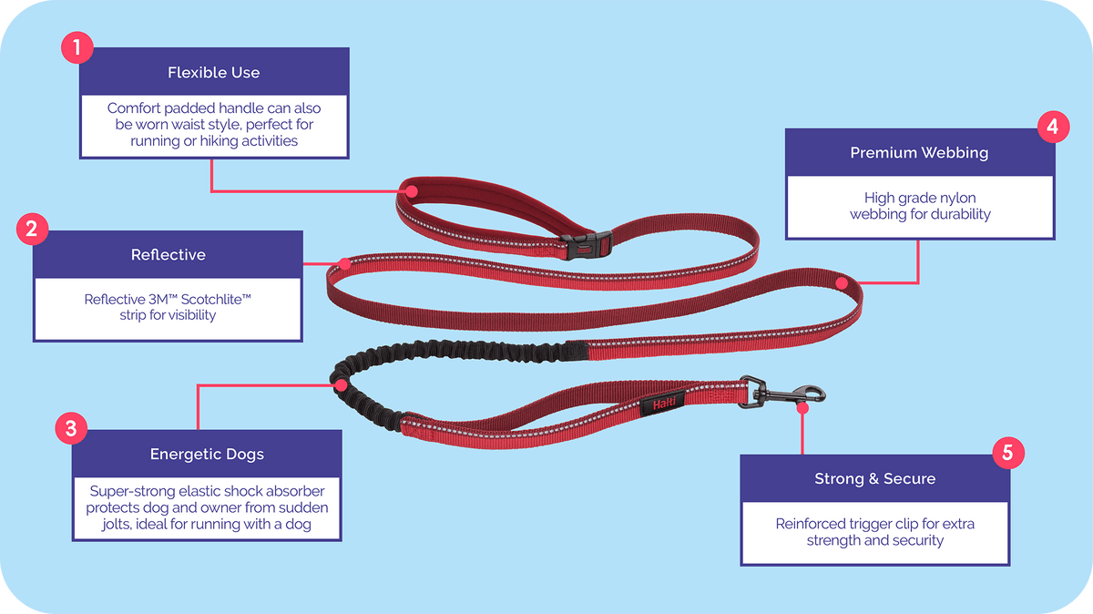 Halti Active Hands-Free Dog Lead