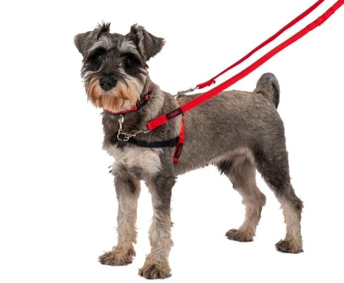 Halti Front Control Harness