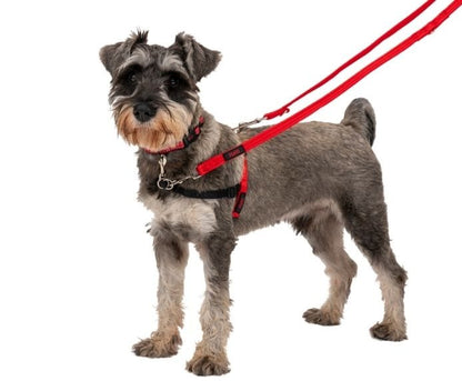 Halti Front Control Harness