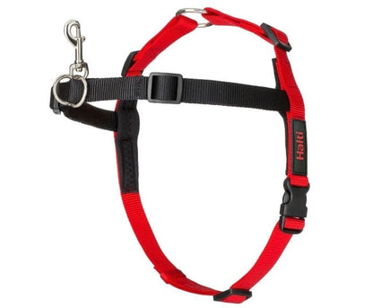Walking Kit