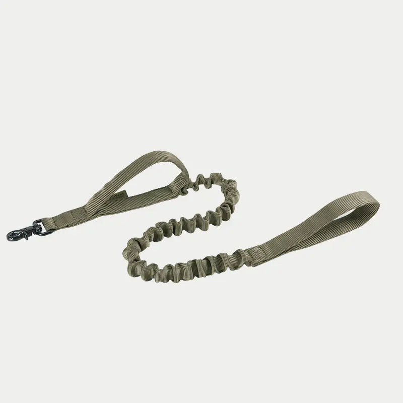 Leash for Large Dogs: German Shepherd, Golden Retriever