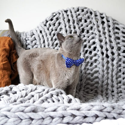 Dan & Sam Cat Collar & Bow Tie – Navy Dream