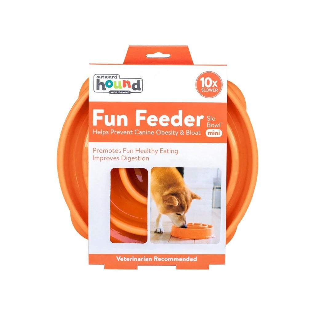 Outward Hound Fun Feeder Slow Bowl – Mini