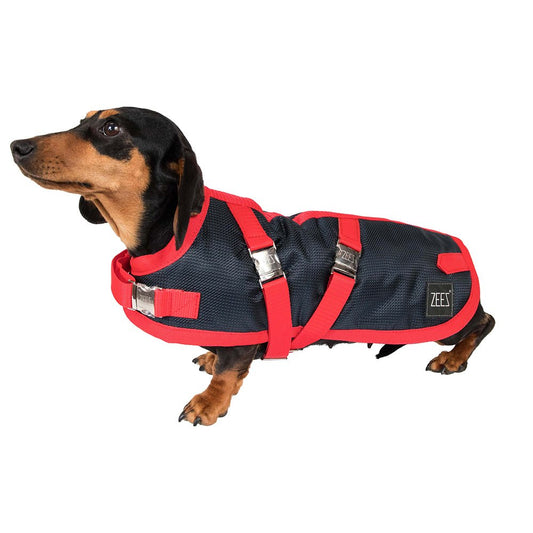 ZeeZ Supreme Dachshund Waterproof Dog Coat – Navy & Red