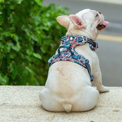 Harness-Type Dog Leash for Comfortable Walking