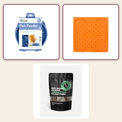 Boredom Buster Mini – Woof pack collage – Teal · Orange