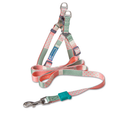 Touchdog Dog Harness Leash for Outdoor Training