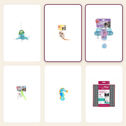 Boredom Buster – Meow pack – Mouse / Ice Cream Dragonfly
