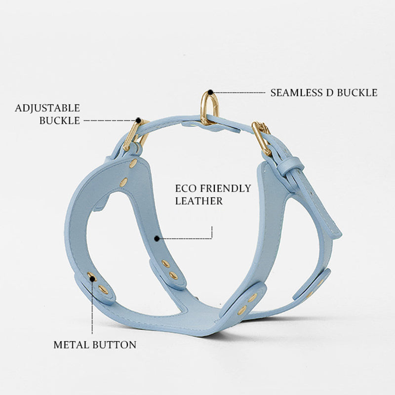 Dog Harness and Leash for Small and Medium Pets