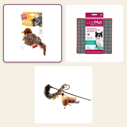 Boredom Buster Mini – Meow pack – Bird