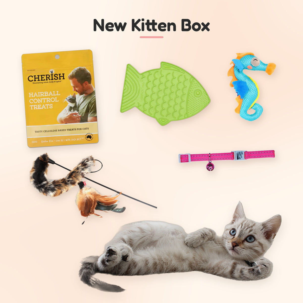 New Kitten Box: a kitten with the Cherish hairball treats, LickiMat Felix, GiGwi catnip seahorse, GiGwi feather teaser wand and a cat safety collar