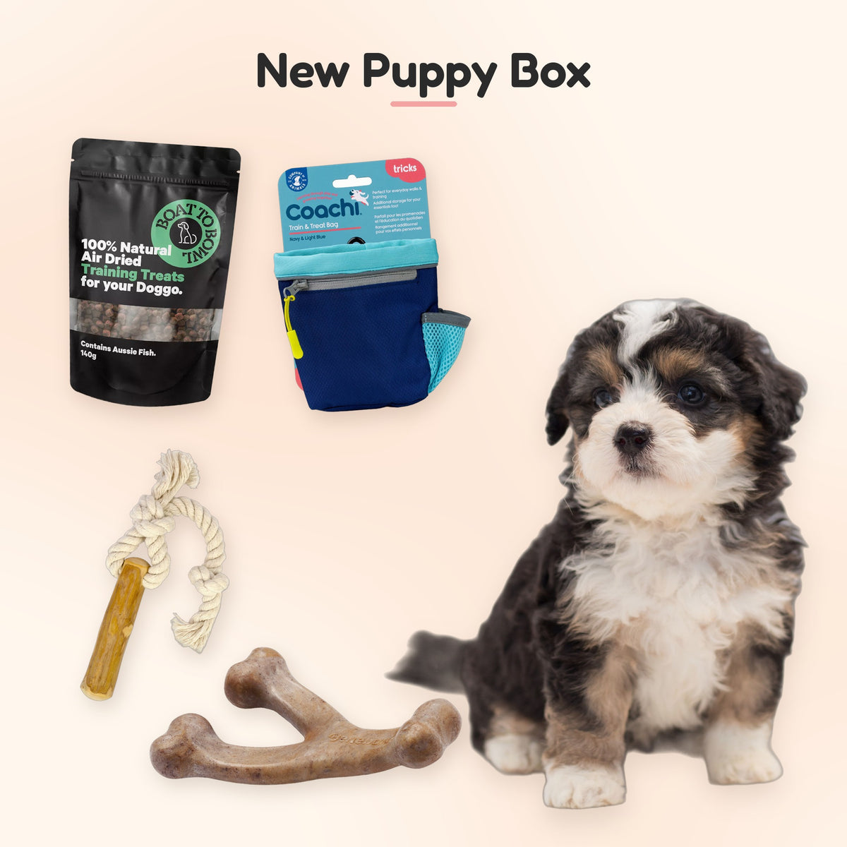 New Puppy Box: a puppy with Boat To Bowl training treats, Coachi Train & Treat Bag, Dan & Sam tugging stick and Benebone puppy wishbone