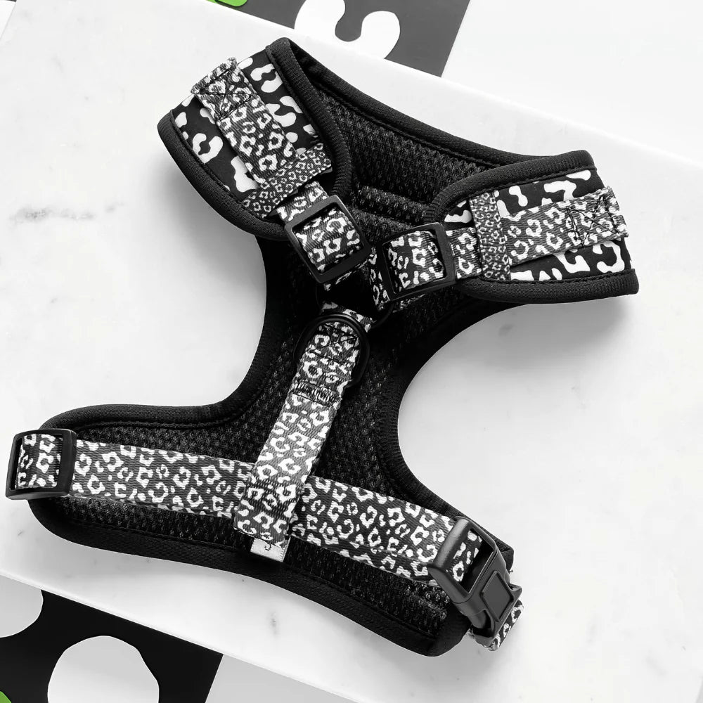 Cocopup Adjustable Neck Harness – Black Leopard