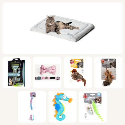 Ultimate Meow Box (long hair, small cat) with the FURminator long-hair small tool