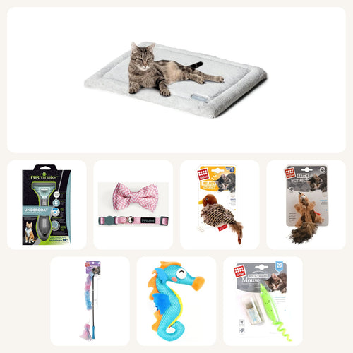 Ultimate Meow Box – what's inside