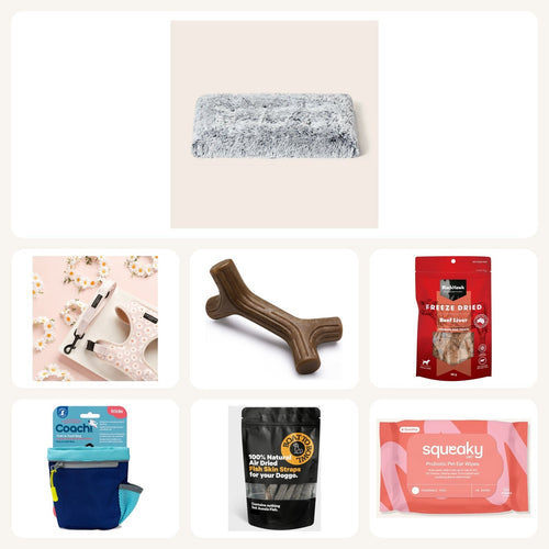 Ultimate Woof Box – what's inside