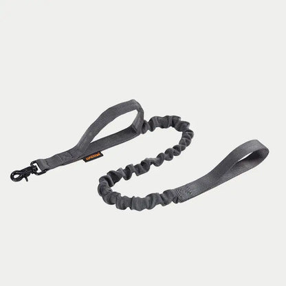 Leash for Large Dogs: German Shepherd, Golden Retriever